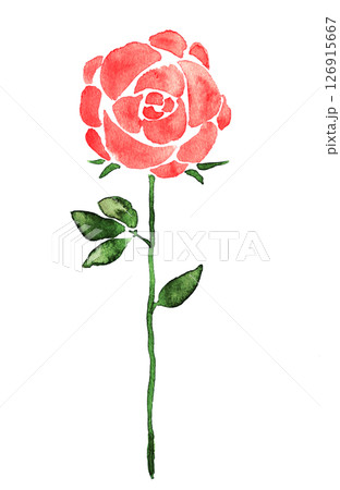 ばら一本のイラスト素材 - PIXTA