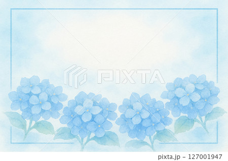 洋風アジサイの写真素材 - PIXTA