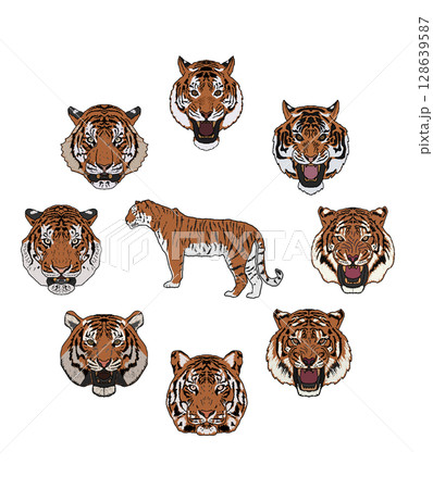 トラ(虎)のイラスト素材(49,922点以上の高品質なイラスト素材) - PIXTA