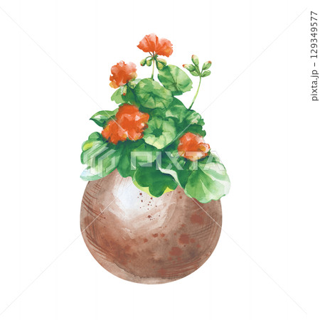 花瓶 水彩画 花のイラスト素材 - PIXTA