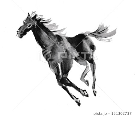 墨絵 水墨画 馬 モノクロのイラスト素材 - PIXTA