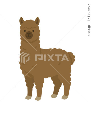 アルパカの画像素材(20,150点以上の高品質な写真・イラスト素材