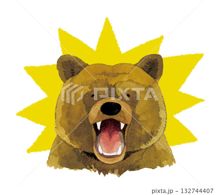 熊 ヒグマ キバ 牙の写真素材 - PIXTA