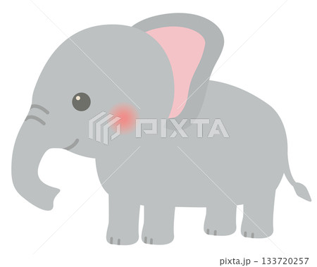 ECONECOイラスト　ゾウ 動物園 象 ゾウ ゾウさんのイラスト素材 - PIXTA
