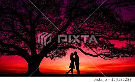 夕焼け 夕日 カップル シルエットのイラスト素材 - PIXTA