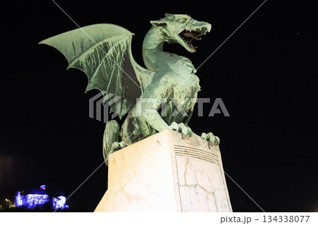 龍の石像 龍の石像｜龍が彫刻された水鉢の製作9 秋月院様設置 : 岡崎市 老舗石屋