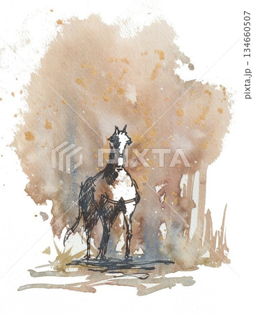 動物 馬 水彩画 水彩のイラスト素材 - PIXTA