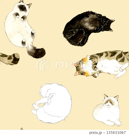 ノルウェージャンフォレストキャットのイラスト素材 - PIXTA