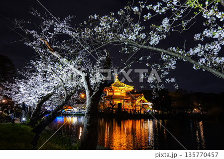 桜 夜桜 夜 湖の写真素材 - PIXTA