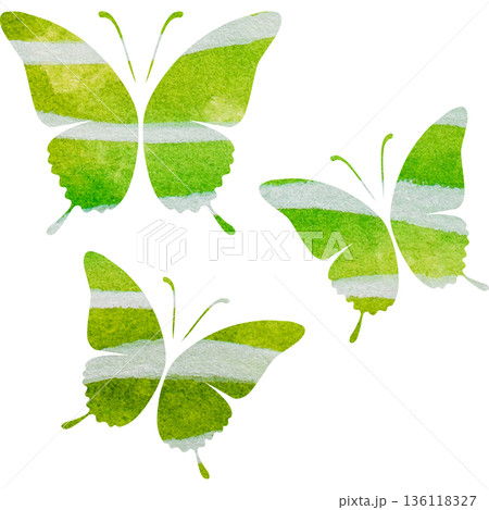 蝶(ちょうちょ)のイラスト素材(56,761点以上の高品質なイラスト素材