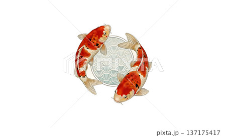 鯉・錦鯉のイラスト素材(10,165点以上の高品質なイラスト素材) - PIXTA