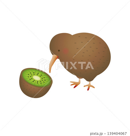 キーウィ Kiwi 鳥 鳥類のイラスト素材 - PIXTA