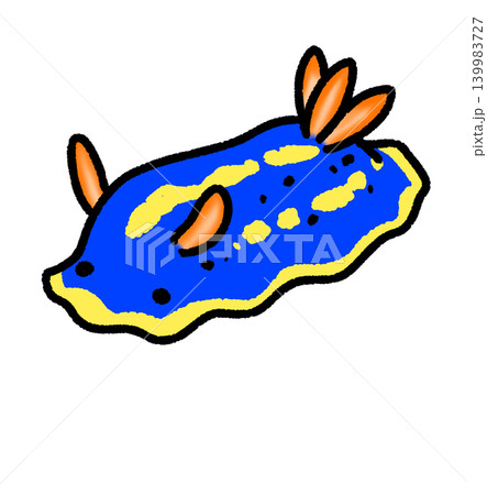 ウミウシのイラスト素材 - PIXTA